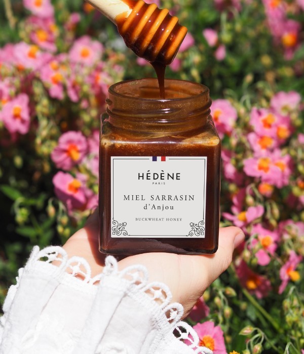 Miel Sarrasin d'Anjou récolté en France
