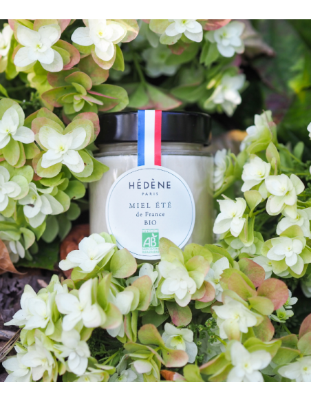 Organic Summer Honey harvested in France