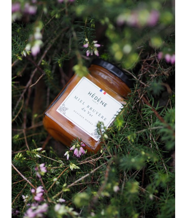 Pyrenean Heather honey harvested in France