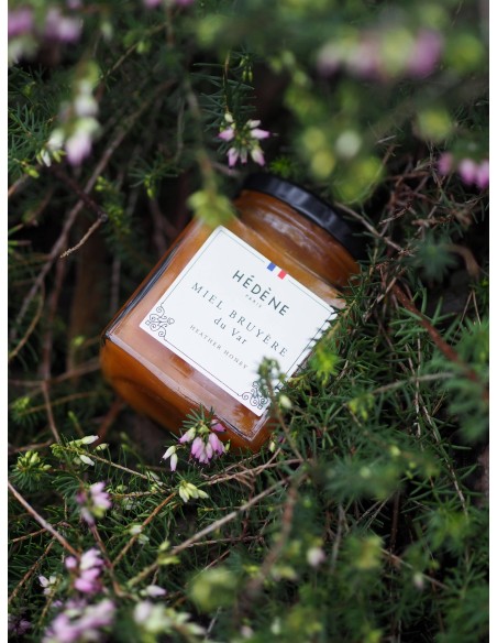 Pyrenean Heather honey harvested in France