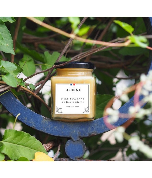 Miel Luzerne des Haute-Marne récolté en France