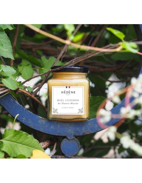 Alfalfa honey from the Haute-Marne harvested in France
