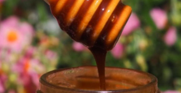 How to choose your honey properly